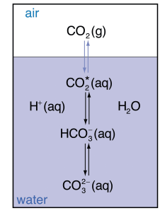 Esquema de la acificación oceánica por absorcion de dióxido de carbono (CO2)